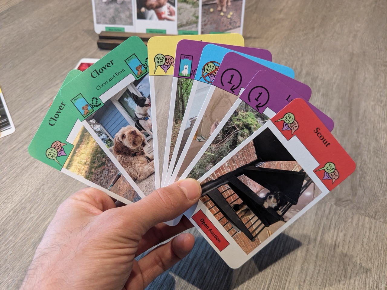 A hand fanning out cards featuring various dogs.
